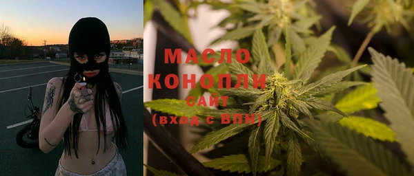 хмурый Каменка