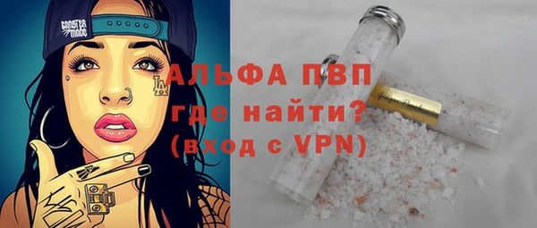 хмурый Каменка