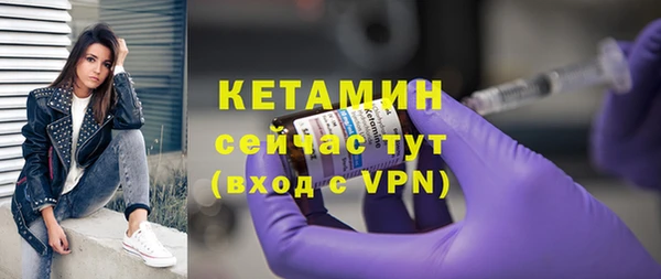 хмурый Каменка