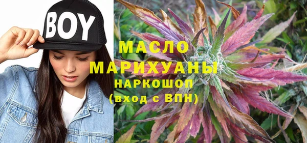 хмурый Каменка