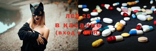 хмурый Каменка