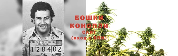 Альфа ПВП Каменногорск