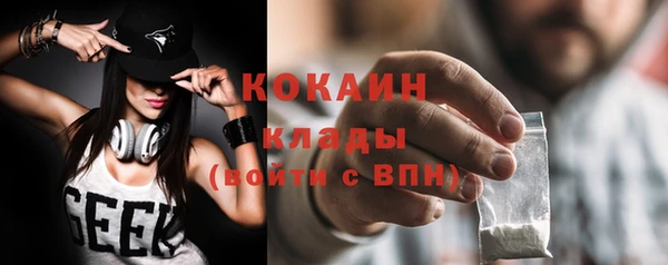 хмурый Каменка