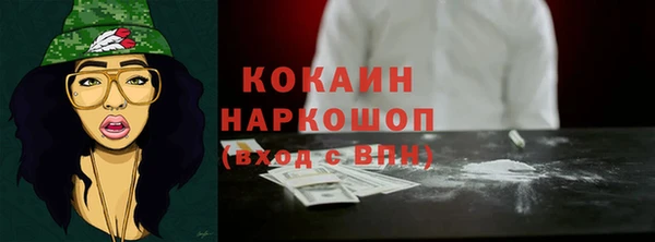 хмурый Каменка