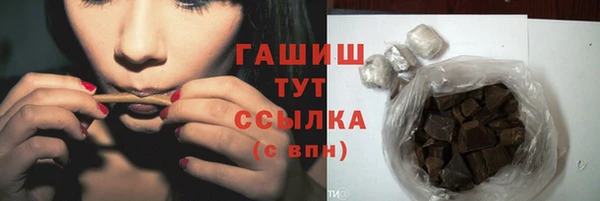 хмурый Каменка