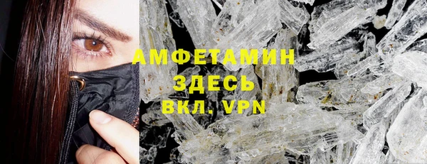 хмурый Каменка