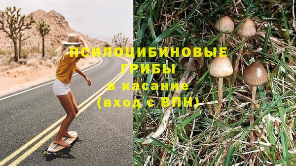 хмурый Каменка