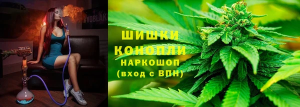 хмурый Каменка