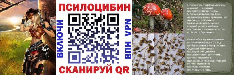 Галлюциногенные грибы Cubensis закладка Староминская