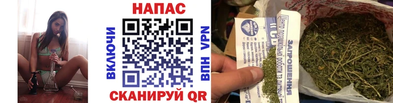 даркнет сайт  Староминская  Канабис ГИДРОПОН 